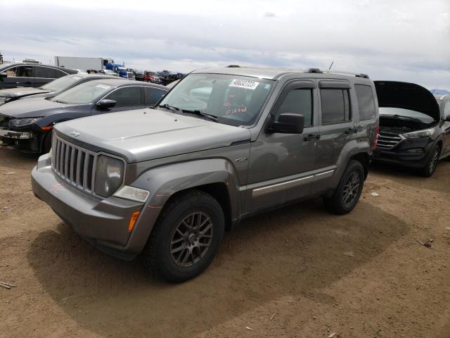 Jeep Liberty 2012 Arctic