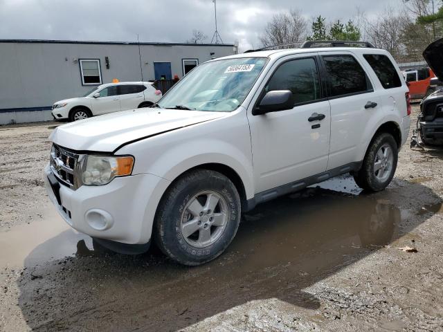 Salvage cars for sale from Copart Lyman, ME: 2010 Ford Escape XLT