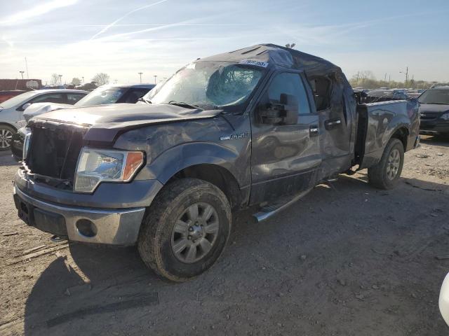 Salvage trucks for sale at Indianapolis, IN auction: 2010 Ford F150 Supercrew