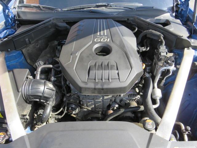 2019 KIA STINGER - KNAE15LA6K6066313