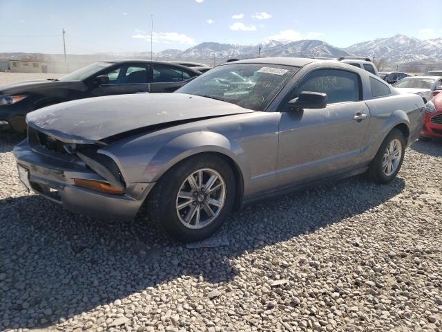 2006 Ford Mustang VIN: 1ZVFT80NX65248387 Lot: 48146123