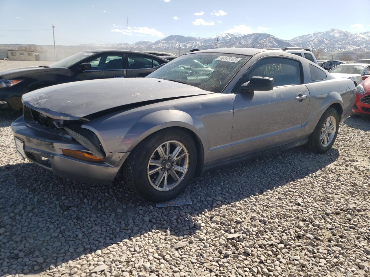 1ZVFT80NX65248387 2006 Ford Mustang