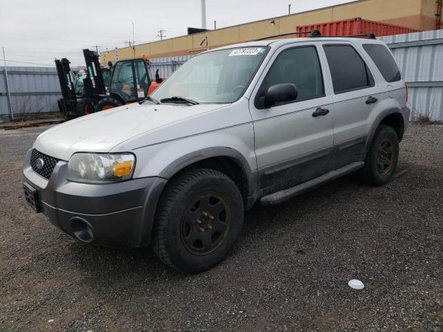 Salvage cars for sale from Copart Bowmanville, ON: 2006 Ford Escape XLT