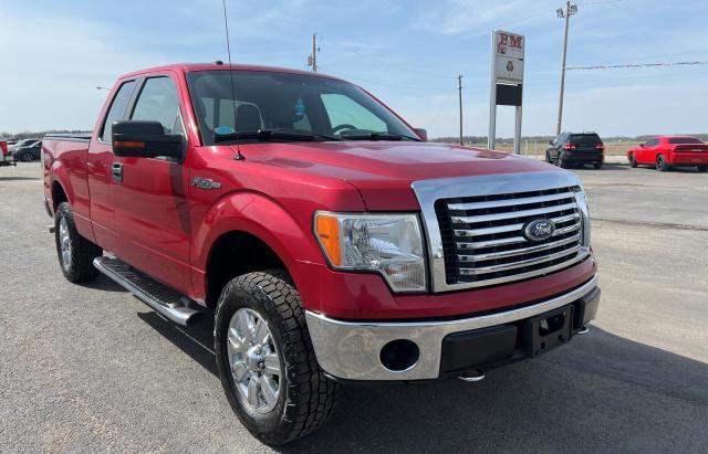 2010 Ford F-150 