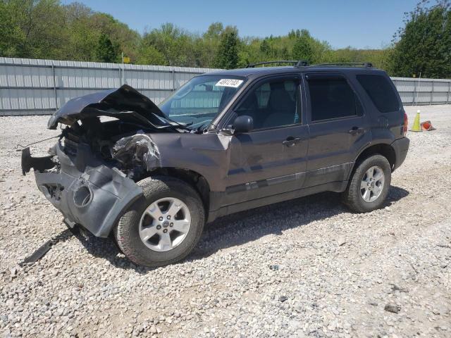 2005 Ford Escape XLT