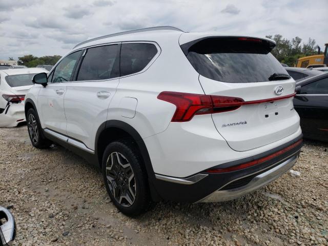 2023 HYUNDAI SANTA FE L - 5NMS4DALXPH523405