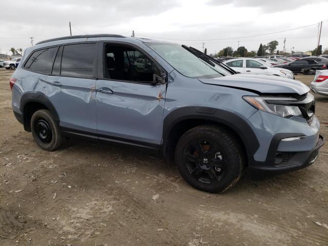 2022 HONDA PILOT TRAI 5FNYF6H80NB081363