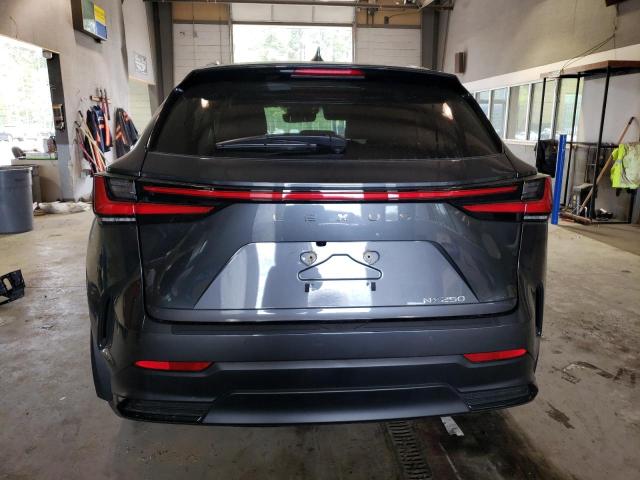 2023 LEXUS NX 250 2T2GDCAZXPC003615