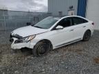 2015 HYUNDAI SONATA SPO - 5NPE34AF9FH249304