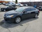 2017 NISSAN ALTIMA 2.5 - 1N4AL3AP2HC471169