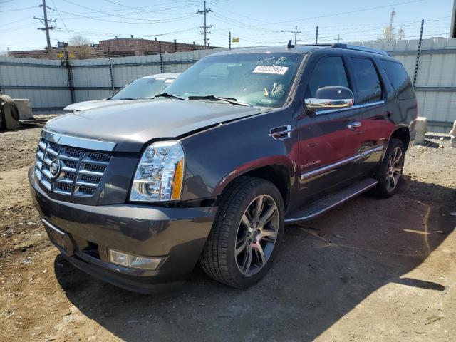 2010 Cadillac Escalade Luxury