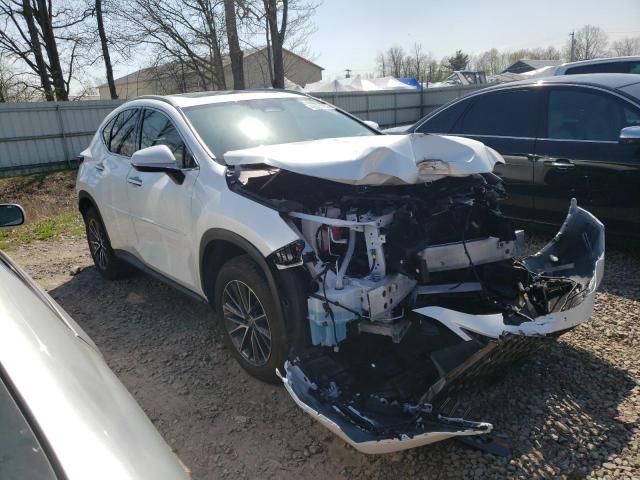 2022 LEXUS NX 350 - 2T2GGCEZ1NC001881