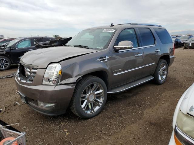 2013 Cadillac Escalade Luxury