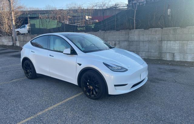 2020 Tesla Model Y 