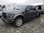 FORD F150 RAPTO photo