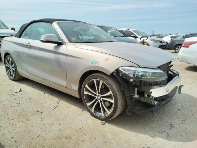 2017 BMW 230I - WBA2K9C5XHV646933