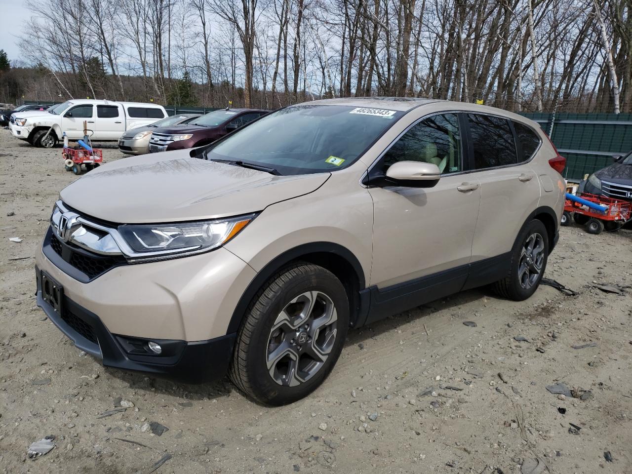 2HKRW2H59KH617677 HONDA CR-V EX 2019