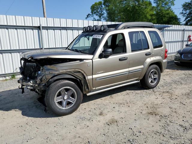 2004 Jeep Liberty Renegade