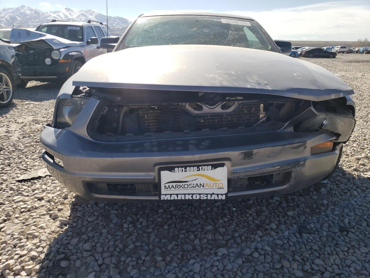 1ZVFT80NX65248387 2006 Ford Mustang