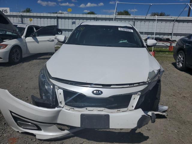 5XXGN4A77EG314737 KIA OPTIMA EX