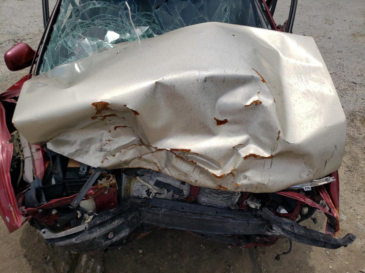 JHMCD5558SC008351 1995 Honda Accord Ex