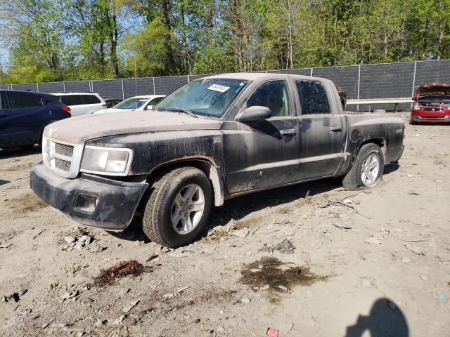 2011 Dodge Dakota SLT