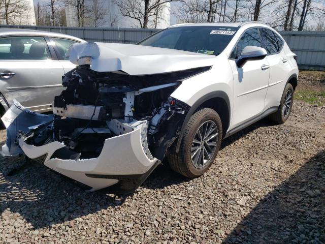2022 LEXUS NX 350 - 2T2GGCEZ1NC001881