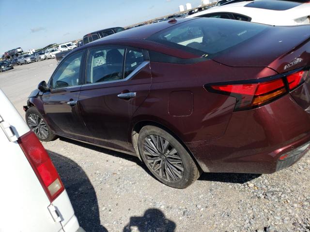 2023 NISSAN ALTIMA SV - 1N4BL4DV3PN319926