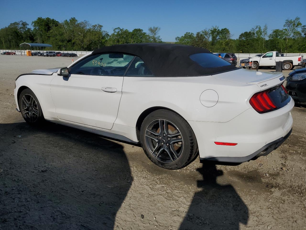 1FATP8UH1K5150900 FORD ALL Models 2019