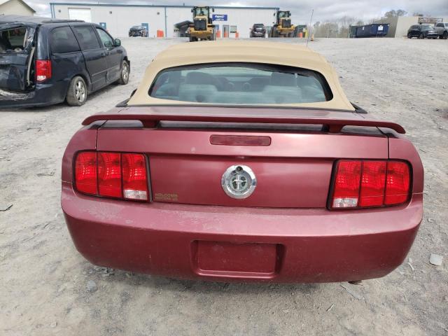 Lot #2461577341 2005 FORD MUSTANG salvage car