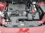 Lot #3028330818 2024 TOYOTA RAV4 LE