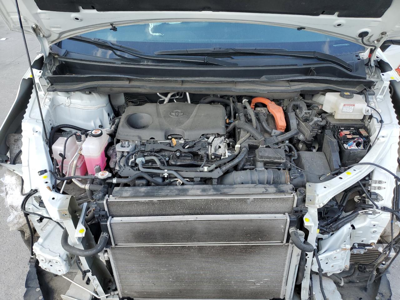 5TDYSKFC0MS007365 TOYOTA All Models 2021