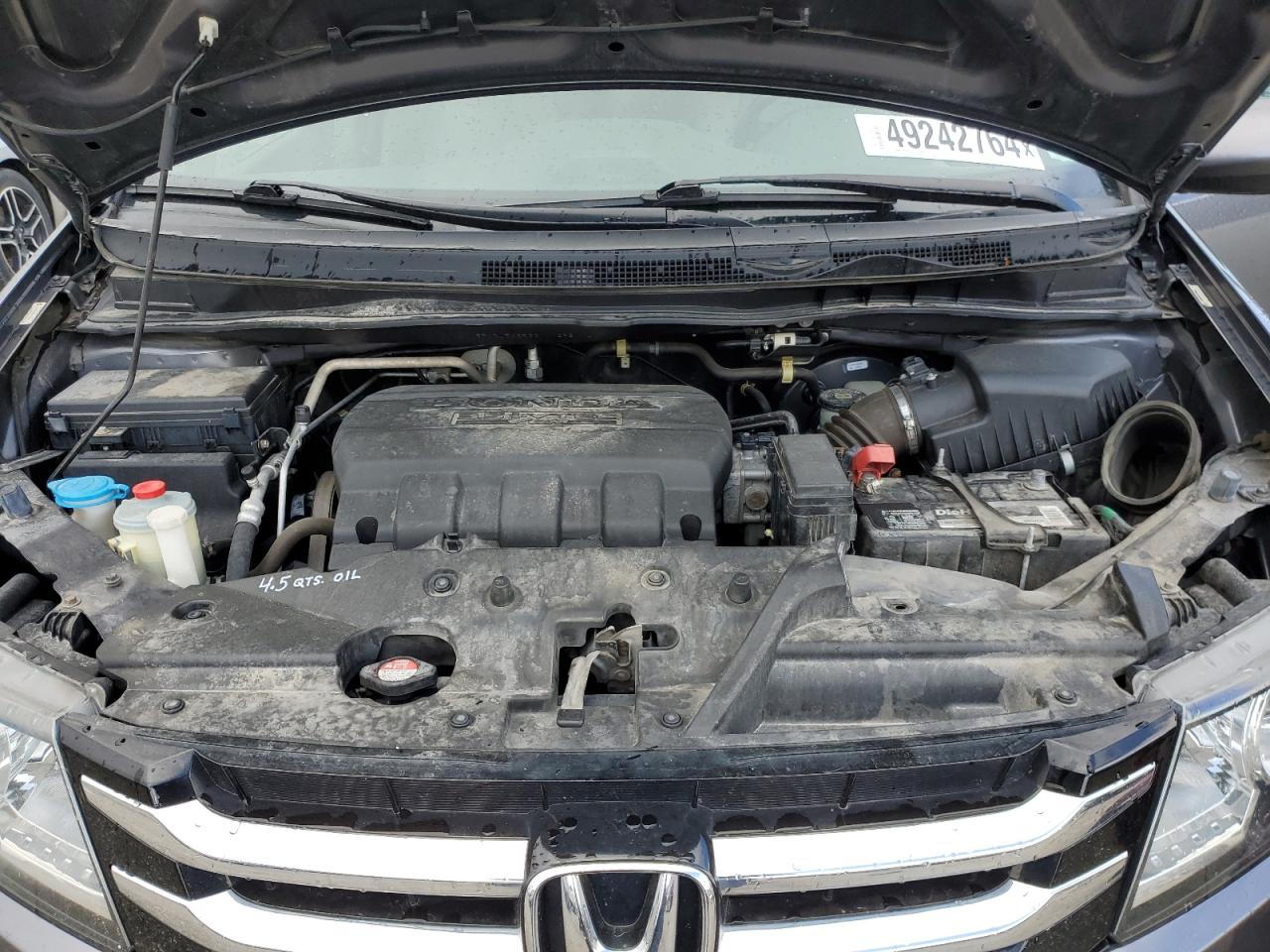 5FNRL5H65GB111398 HONDA All Models 2016