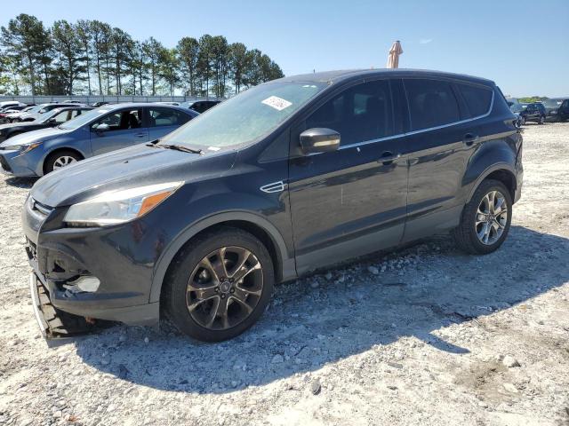 2013 Ford Escape Sel VIN: 1FMCU0HX7DUC76009 Lot: 51973064