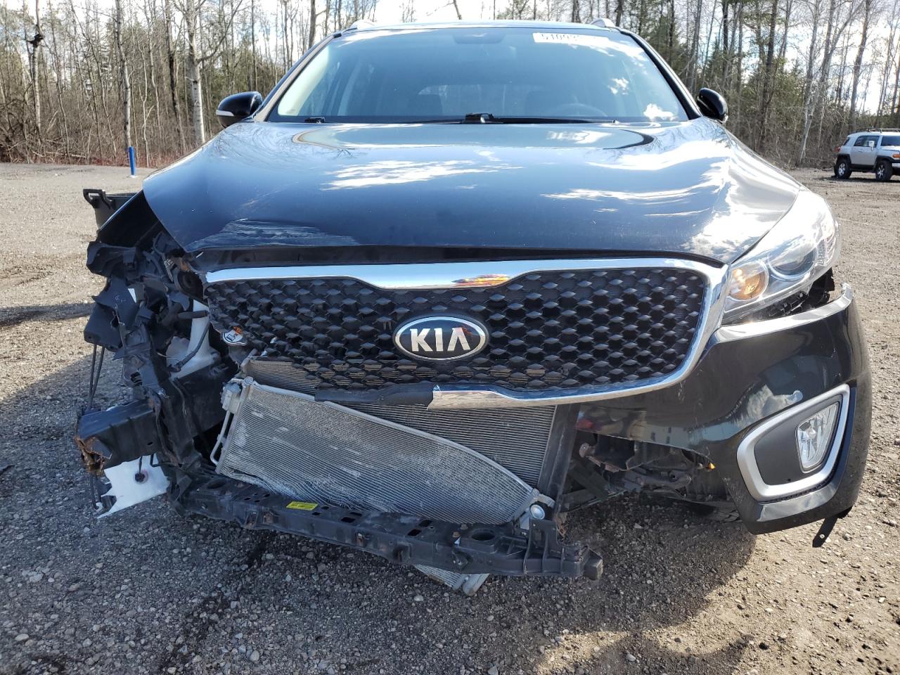 5XYPGDA38HG236749 2017 Kia Sorento Lx