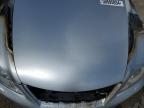 LEXUS LS 460L photo