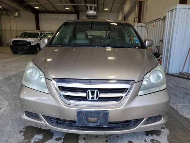 2005 Honda Odyssey Exl VIN: 5FNRL38755B064111 Lot: 50700364