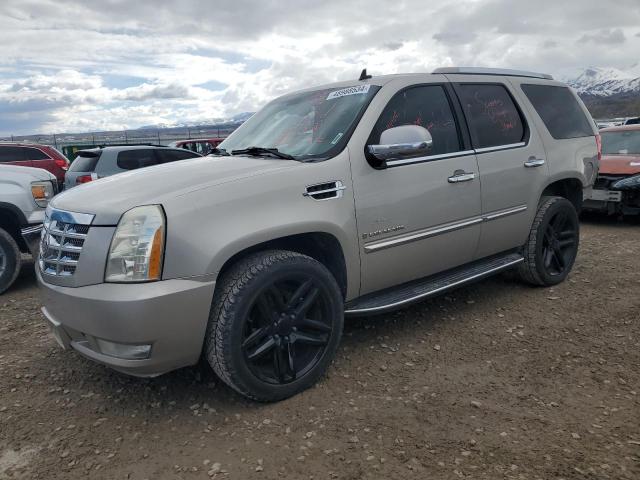 Lot #2503840833 2007 CADILLAC ESCALADE L salvage car