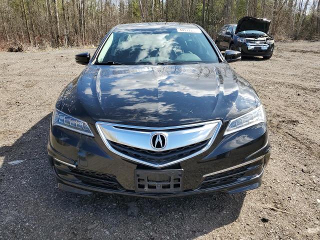 2017 Acura Tlx Tech VIN: 19UUB3F56HA800051 Lot: 50449134