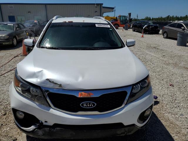 2013 Kia Sorento Lx VIN: 5XYKT3A64DG404794 Lot: 50843224