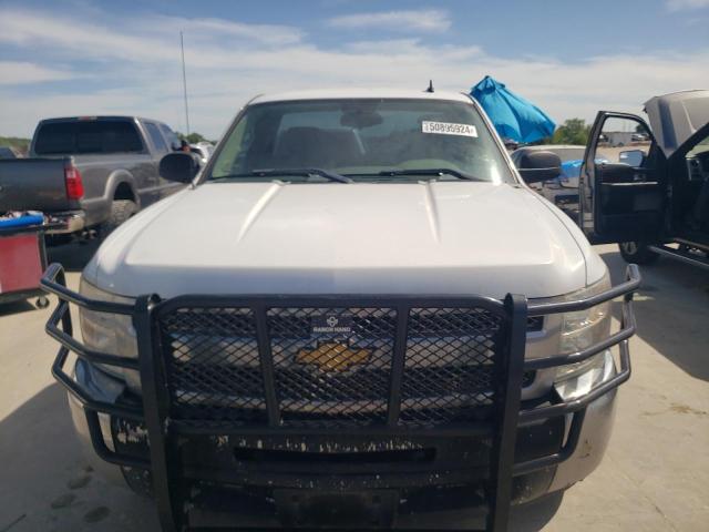 2013 Chevrolet Silverado C1500 VIN: 1GCNCPEXXDZ400452 Lot: 50895924