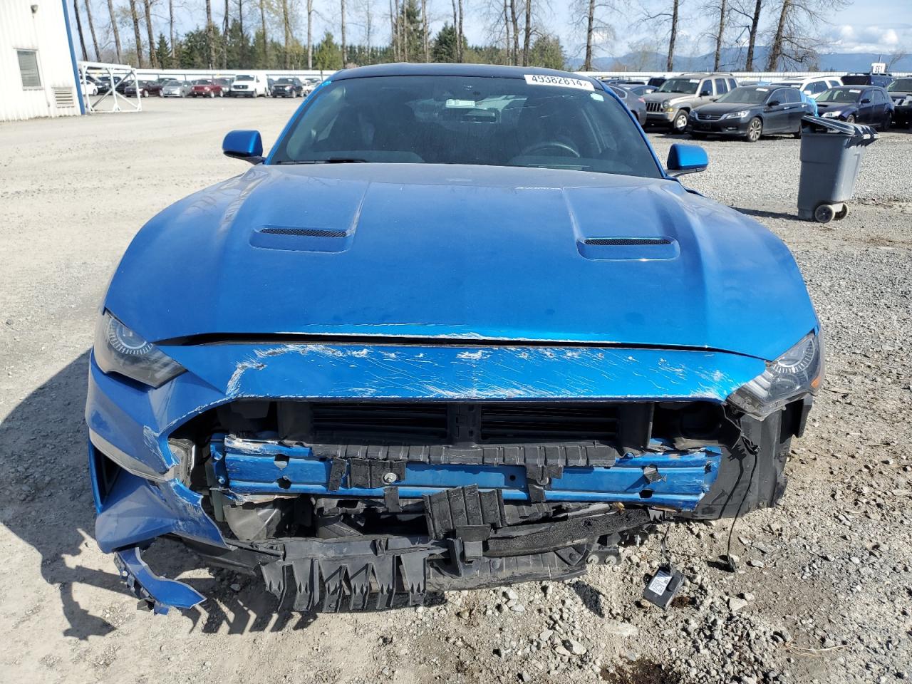 1FA6P8TH2K5176842 FORD ALL Models 2019
