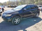 Lot #3024154959 2009 NISSAN MURANO