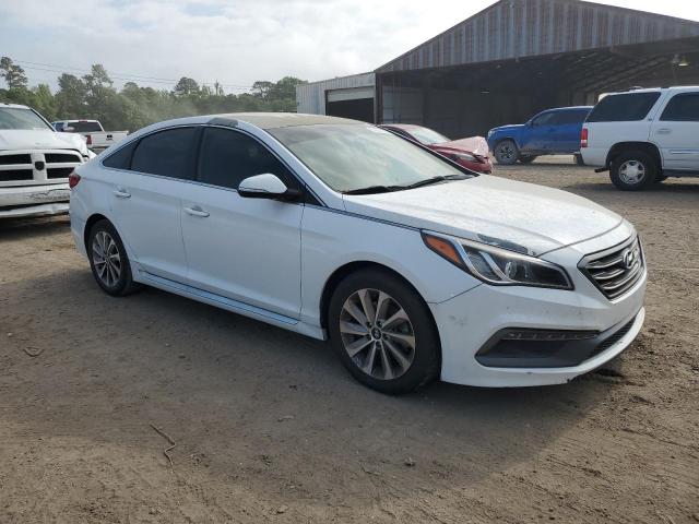 2016 HYUNDAI SONATA SPO - 5NPE34AF5GH336540