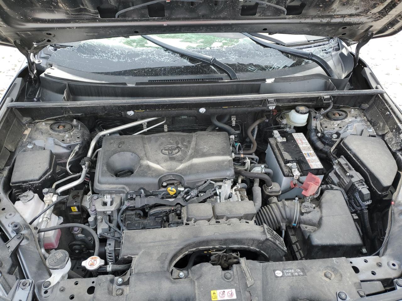 JTMN1RFV7KD505166 TOYOTA RAV4 2019