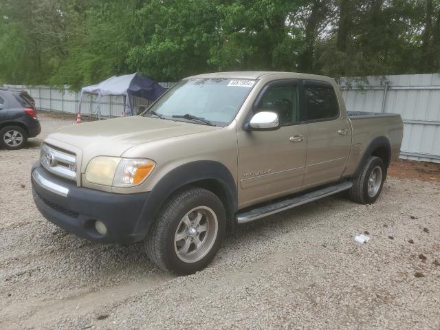 2005 Toyota Tundra Double Cab Sr5 VIN: 5TBDT44125S485080 Lot: 50873954