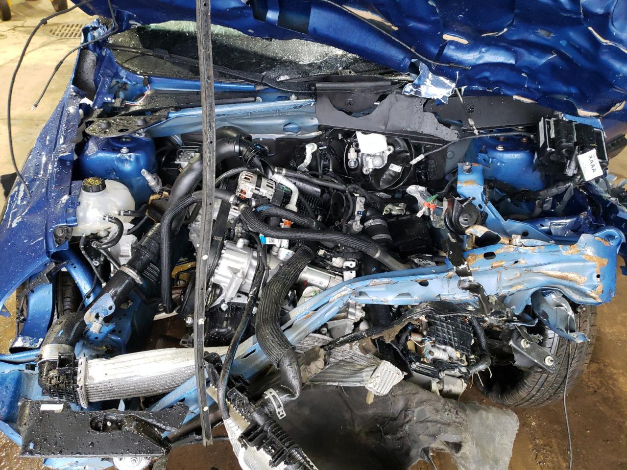 VIN: 3FMCR9B66RRE12084 2024 FORD BRONCO