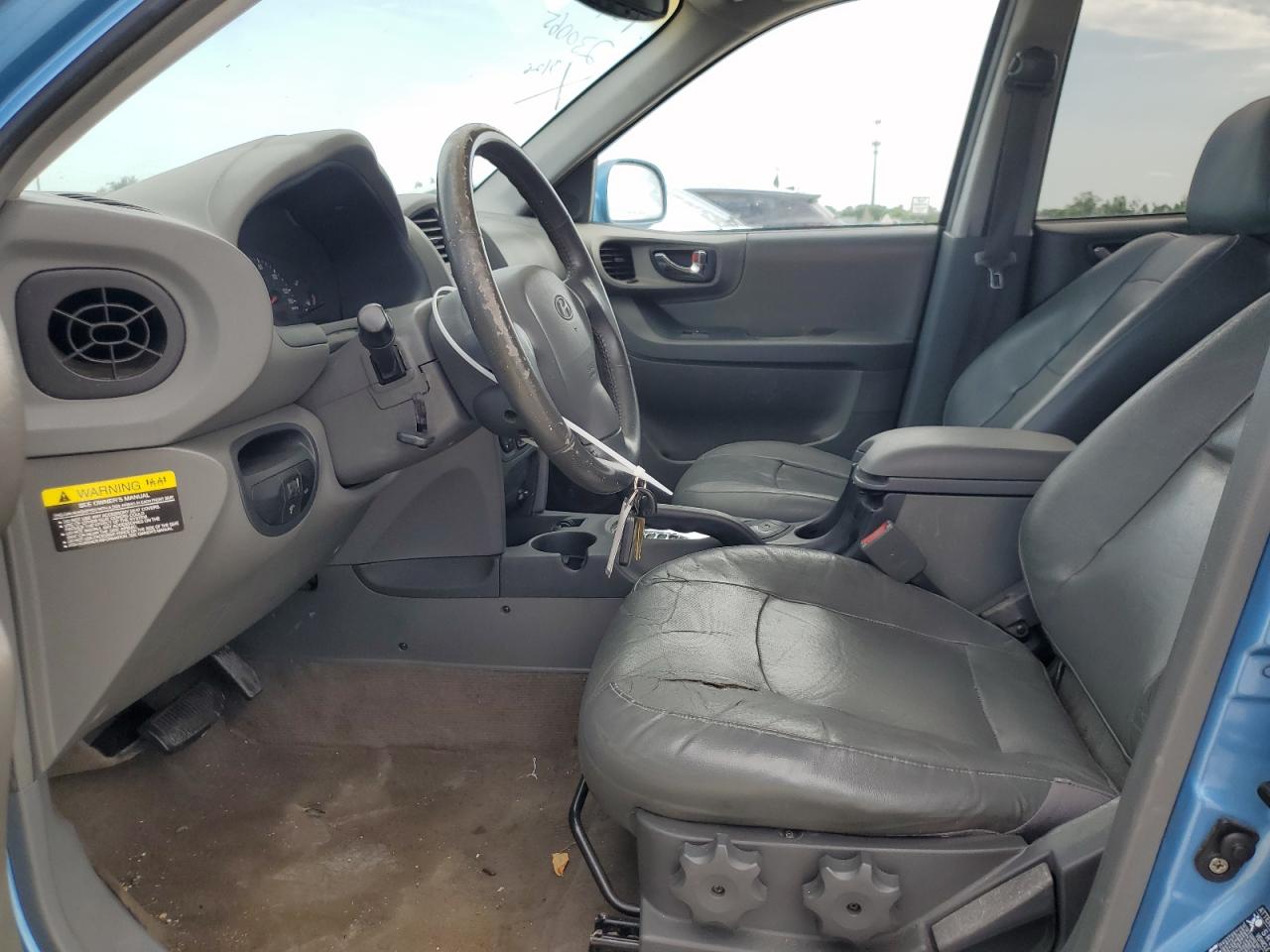 KM8SC13E63U549367 2003 Hyundai Santa Fe Gls