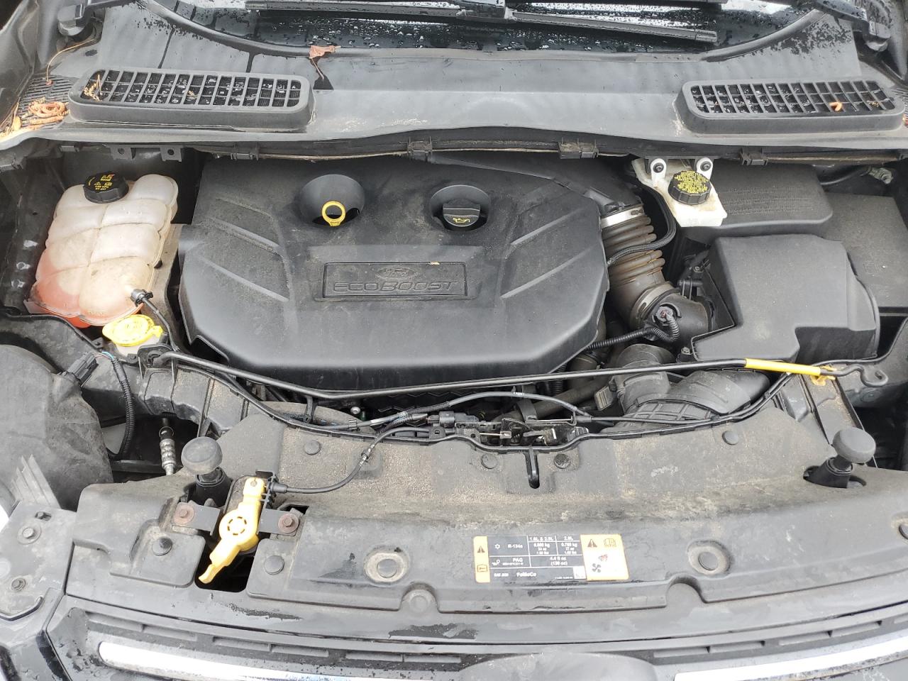 1FMCU9G92EUD69738 2014 Ford Escape Se