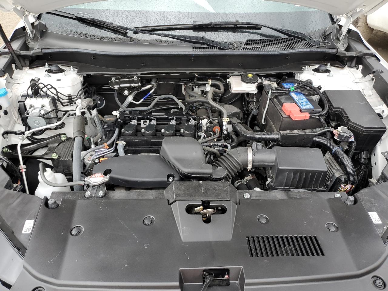 2HKRS4H77PH424427 HONDA CRV 2023